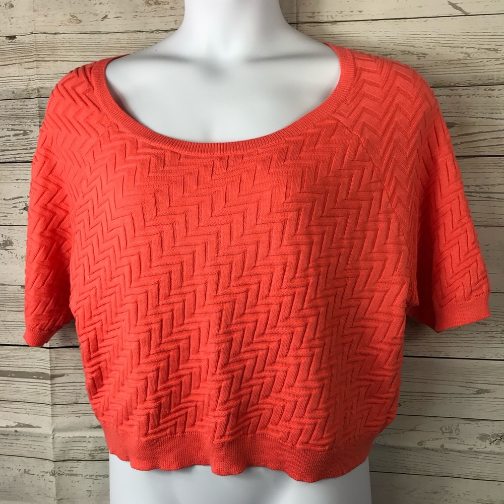 Torrid Top